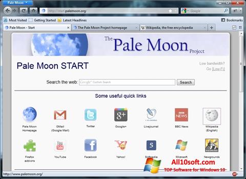 צילום מסך Pale Moon Windows 10